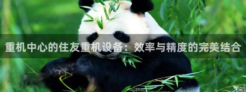 天宏娱乐直播在线观看高清
