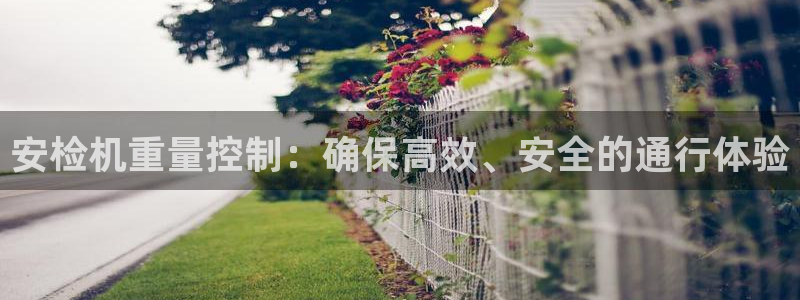 天宏娱乐app的下载