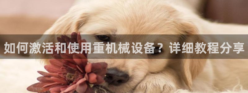 天宏 娱乐属于什么平台