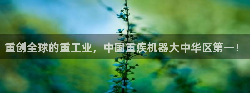 天宏娱乐6号
