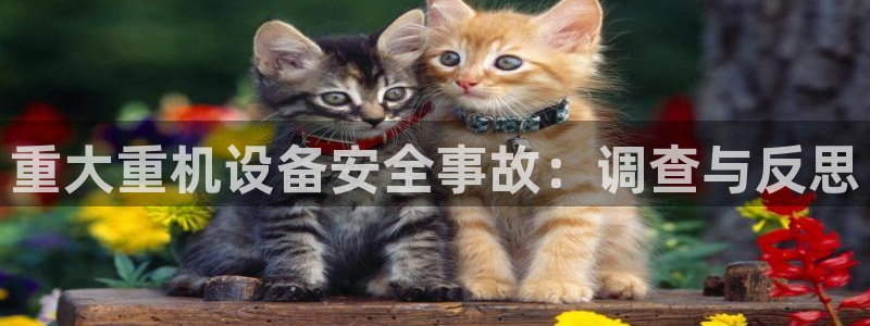 天宏3娱乐注册开户