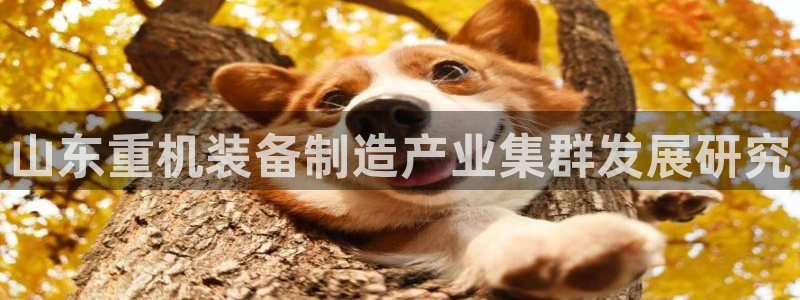 天宏娱乐
