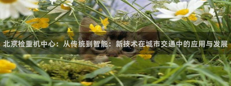 天宏娱乐学