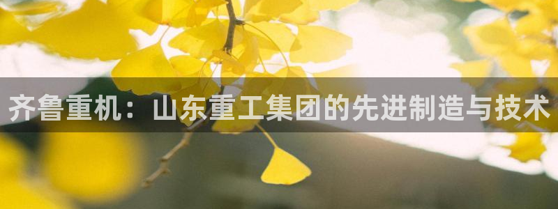 天宏娱乐的王叔