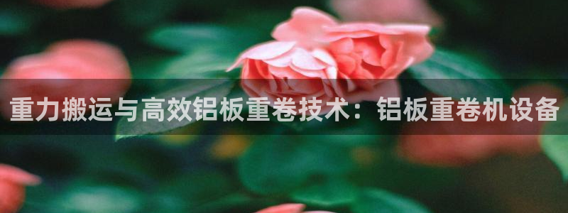 天宏娱乐选择千捷网络