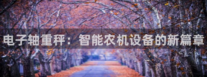 天宏娱乐河源店地址查询