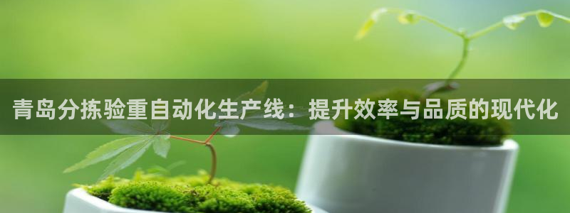 天宏娱乐小号官网下载：青岛分拣验重自动化生产线：提升效率与品