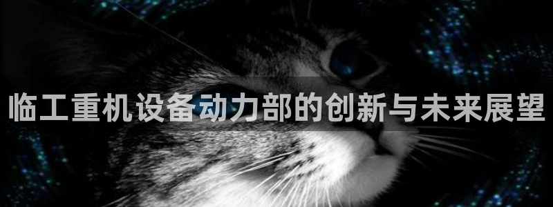 义宏娱乐林天毅