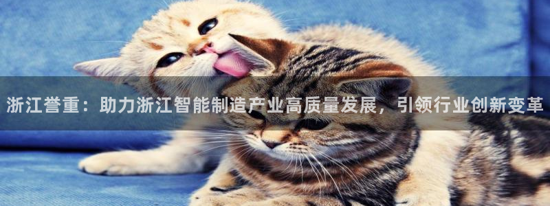 河源天宏娱乐店：浙江誉重：助力浙江智能制造产业高质量发展，引