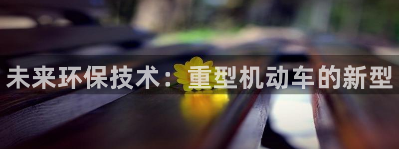 临沂天宏娱乐会所电话地址：未来环保技术：重型机动车的新型