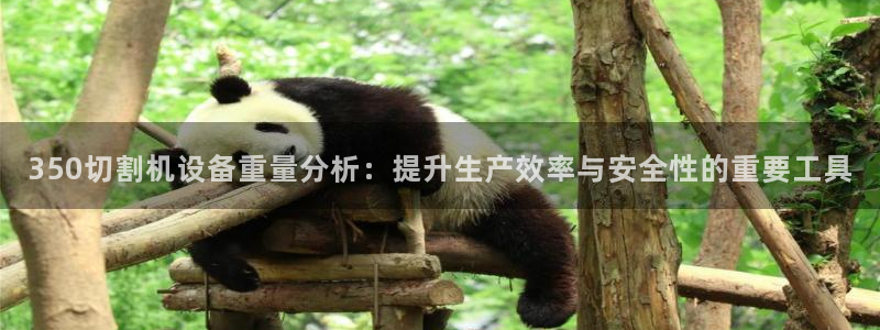 天宏娱乐是干嘛的公司：350切割机设备重量分析：提升生产效率