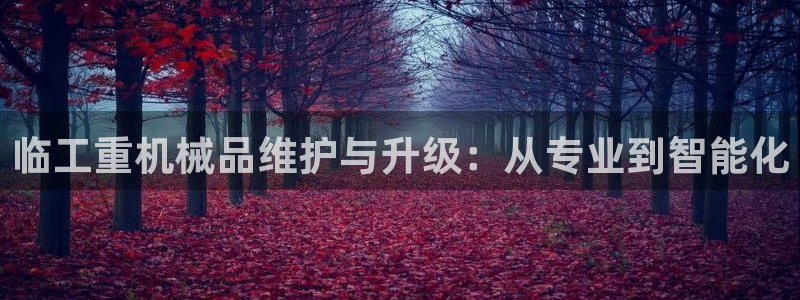 天宏娱乐石叔：临工重机械品维护与升级：从专业到智能化
