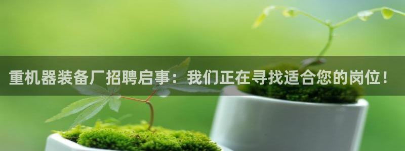 天宏娱乐魂师对决