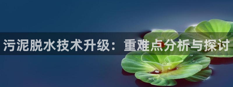 天宏娱乐男孩：污泥脱水技术升级：重难点分析与探讨