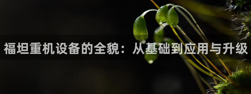 天宏娱乐视频：福坦重机设备的全貌：从基础到应用与升级