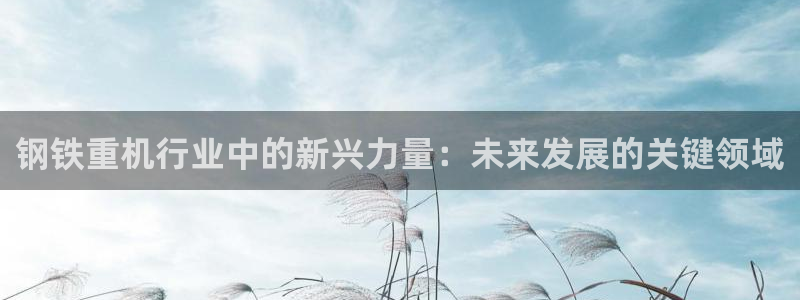 临沂天宏娱乐会所电话地址：钢铁重机行业中的新兴力量：未来发展