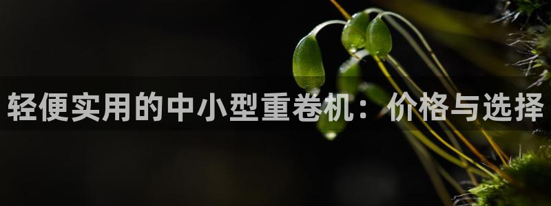 天宏娱乐石叔：轻便实用的中小型重卷机：价格与选择
