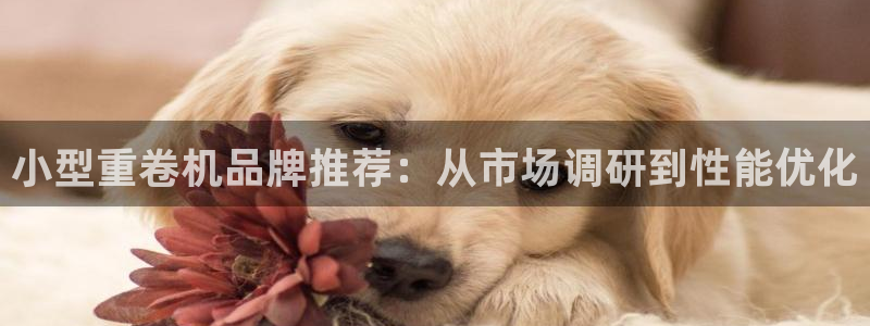 天宏娱乐会员注册：小型重卷机品牌推荐：从市场调研到性能优化