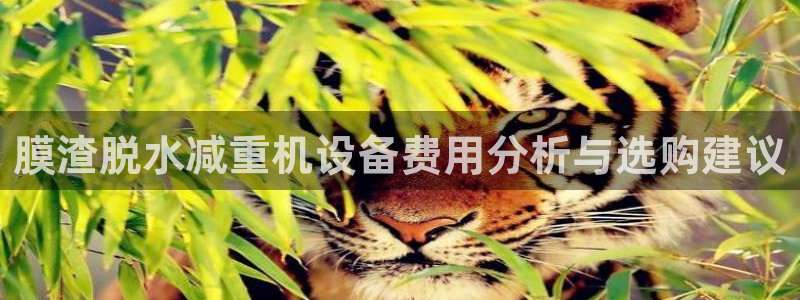 天宏娱乐套钱：膜渣脱水减重机设备费用分析与选购建议