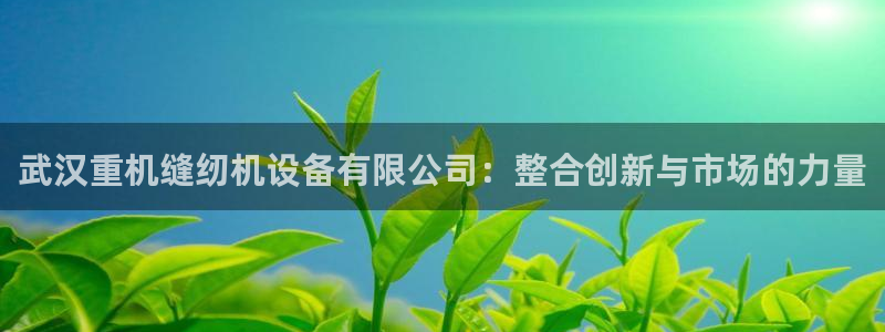 天宏娱乐a 判官：武汉重机缝纫机设备有限公司：整合创新与市场
