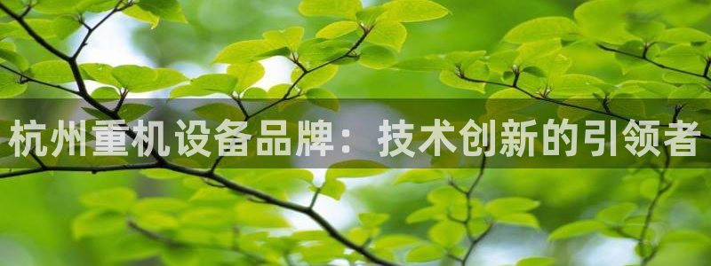 天宏娱乐有明星么：杭州重机设备品牌：技术创新的引领者