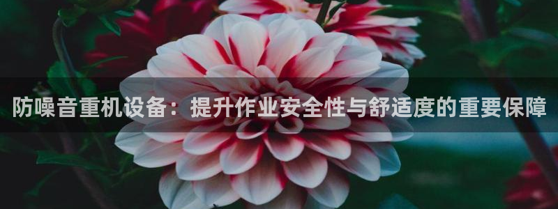 天宏娱乐张叔：防噪音重机设备：提升作业安全性与舒适度的重要保