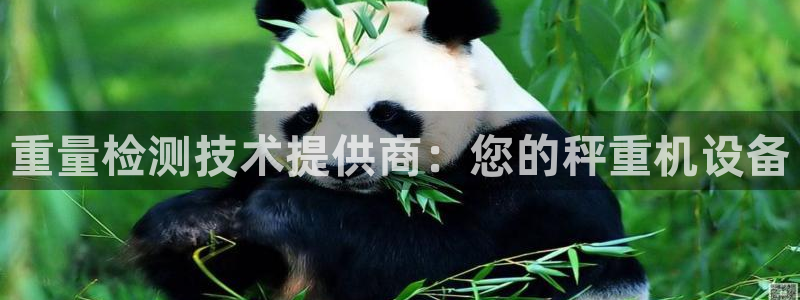 天宏娱乐总店电话多少：重量检测技术提供商：您的秤重机设备