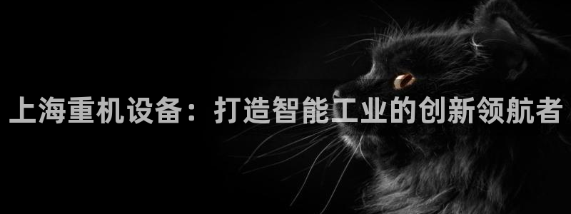 天宏娱乐小刘：上海重机设备：打造智能工业的创新领航者