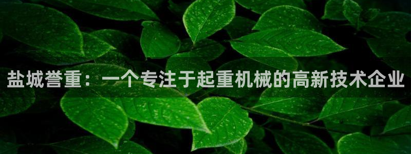 天宏娱乐套钱