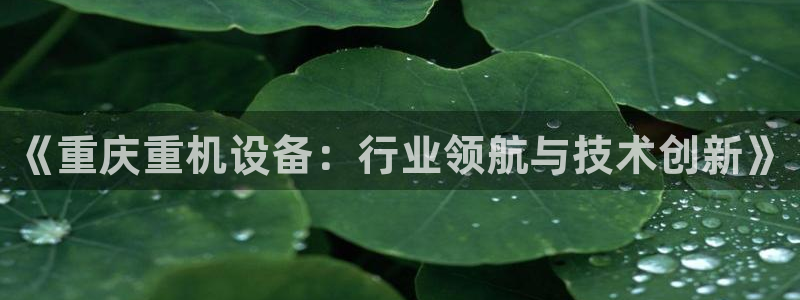 西安天宏娱乐团队：《重庆重机设备：行业领航与技术创新》
