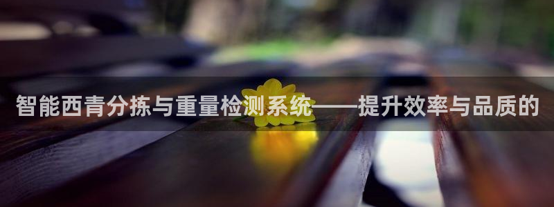 天宏娱乐石叔简介：智能西青分拣与重量检测系统——提升效率与品