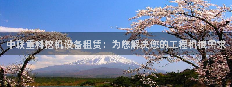 天宏娱乐·v主管管32937：中联重科挖机设备租赁：为您解决