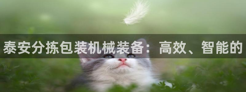 天宏娱乐宋善良：泰安分拣包装机械装备：高效、智能的