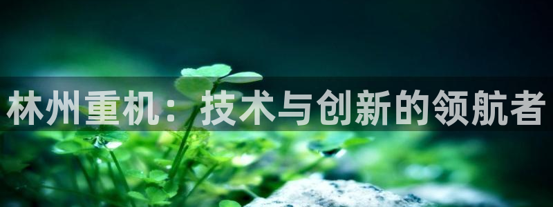 天鲸正宏娱乐是什么：林州重机：技术与创新的领航者
