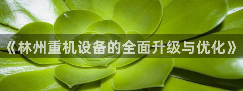 石河子天宏娱乐：《林州重机设备的全面升级与优化》