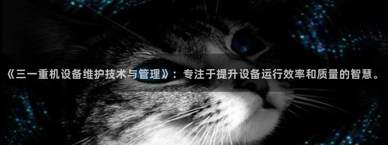 天宏娱乐怎样赚钱的：《三一重机设备维护技术与管理》：专注于提