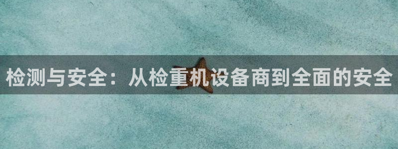 天宏3娱乐平台：检测与安全：从检重机设备商到全面的安全