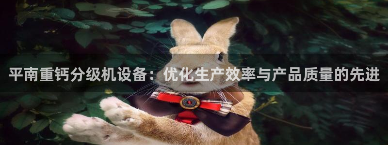 天宏娱乐金大叔：平南重钙分级机设备：优化生产效率与产品质量的