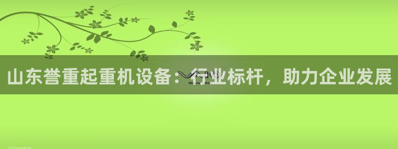 天宏娱乐注册32937：山东誉重起重机设备：行业标杆，助力企