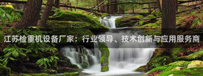 天宏娱乐直播在线观看高清：江苏检重机设备厂家：行业领导、技术