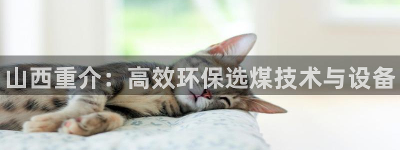 天宏娱乐湖北：山西重介：高效环保选煤技术与设备
