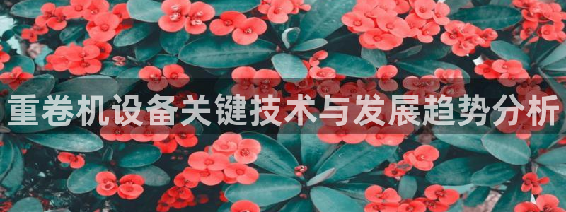 天宏娱乐倒闭了吗：重卷机设备关键技术与发展趋势分析