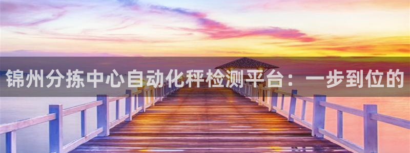 天宏娱乐 92229实c力：锦州分拣中心自动化秤检测平台：一