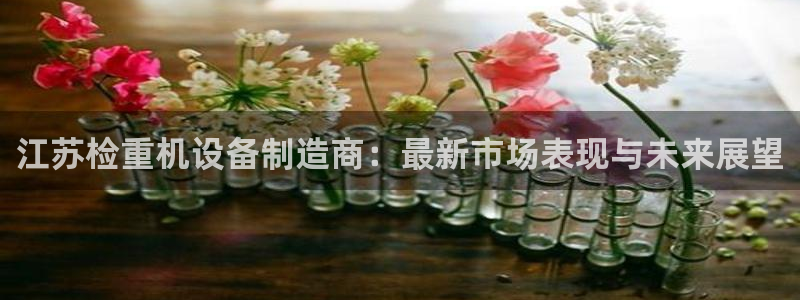 天宏娱乐 22376实e力：江苏检重机设备制造商：最新市场表