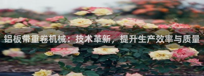 天宏3娱乐平台：铝板带重卷机械：技术革新，提升生产效率与质量