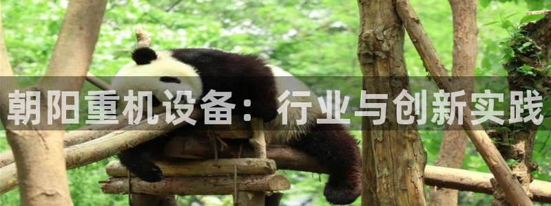 天宏2娱乐主管：朝阳重机设备：行业与创新实践