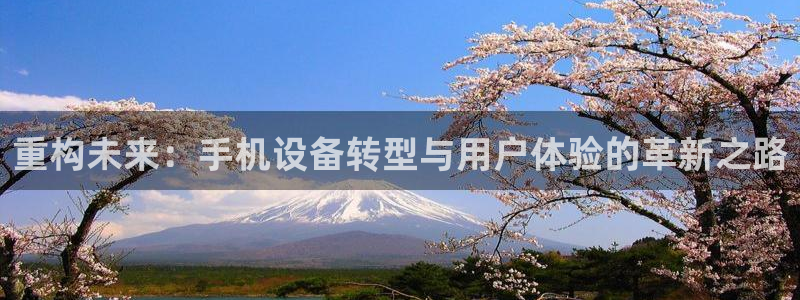 天宏娱乐刘叔：重构未来：手机设备转型与用户体验的革新之路