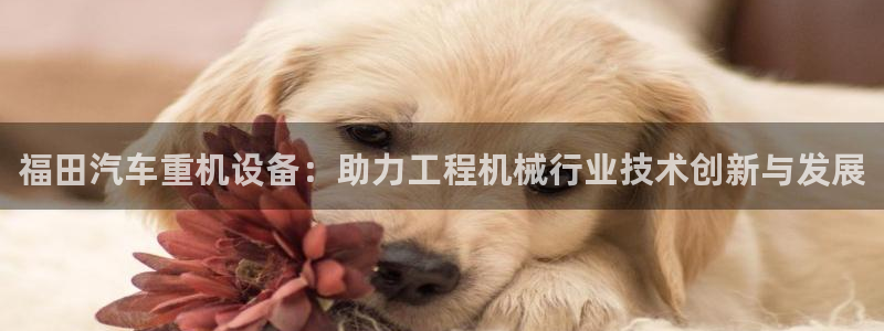 天宏娱乐河源店电话：福田汽车重机设备：助力工程机械行业技术创