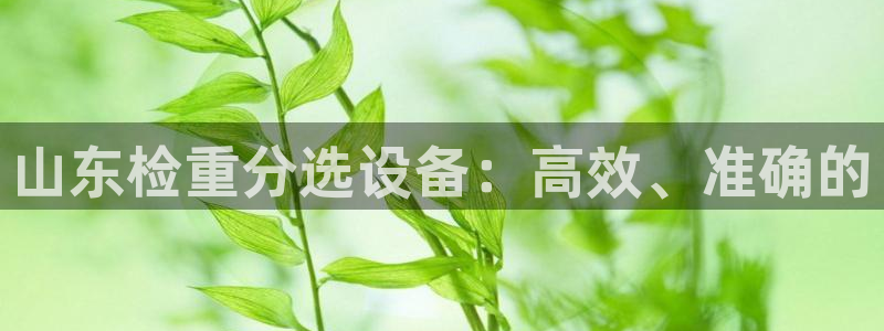 义宏娱乐林天毅：山东检重分选设备：高效、准确的