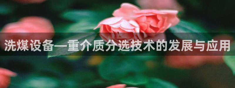 天宏娱乐开户：洗煤设备—重介质分选技术的发展与应用